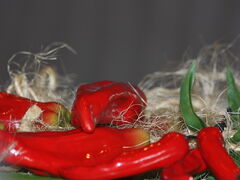 Foto © Pia Brovinius