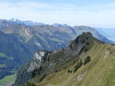 Foto: © Peter Schneeberger