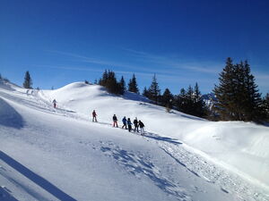 Foto: © Pia Brovinius